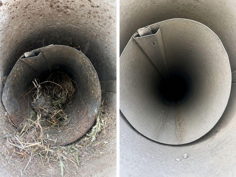 Bird nest & debris removed — airflow restored