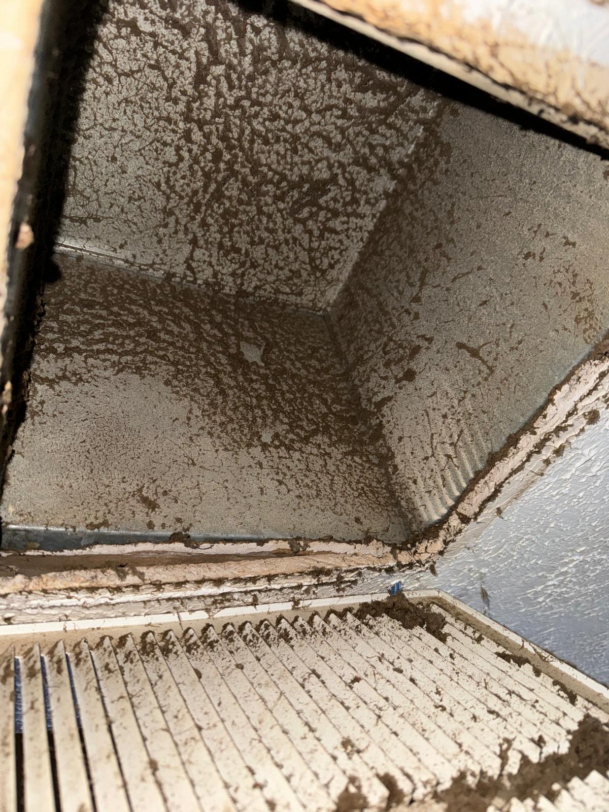 Severe debris blockage inside dryer vent