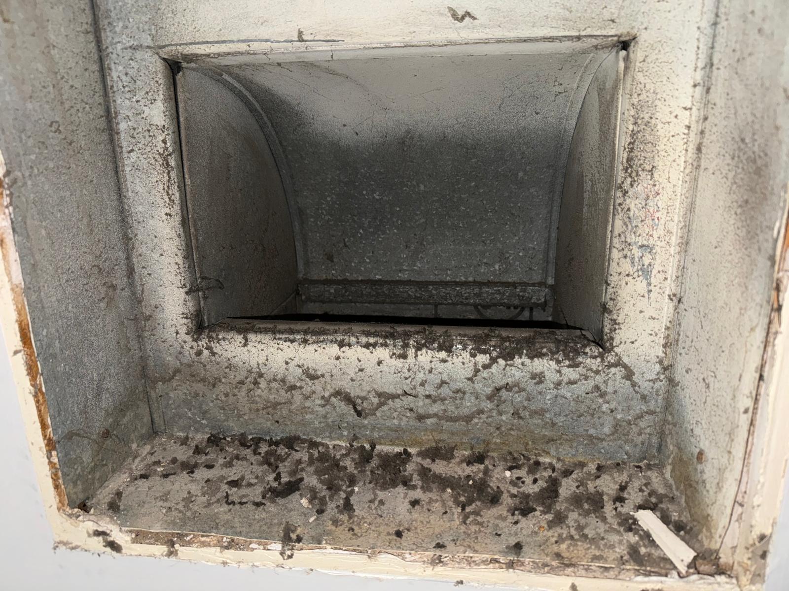 Heavy debris & contamination inside duct