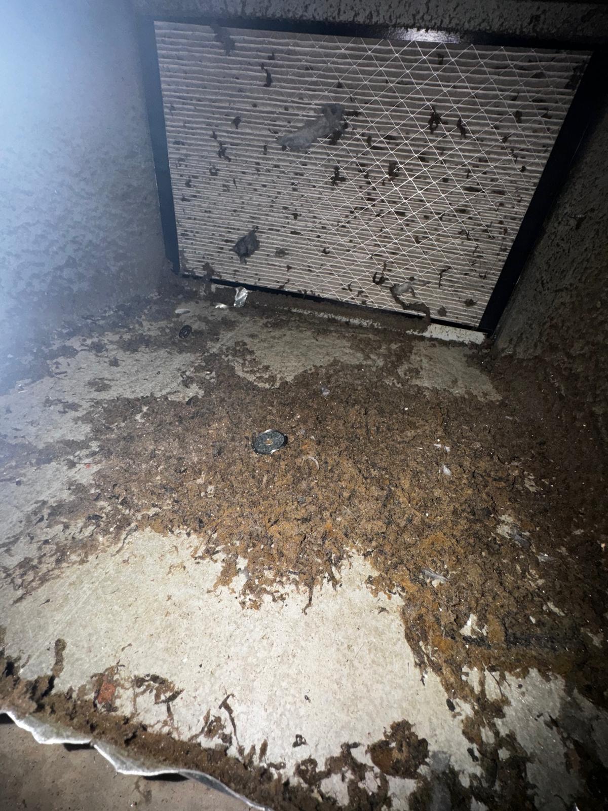 Duct interior inspection & cleaning