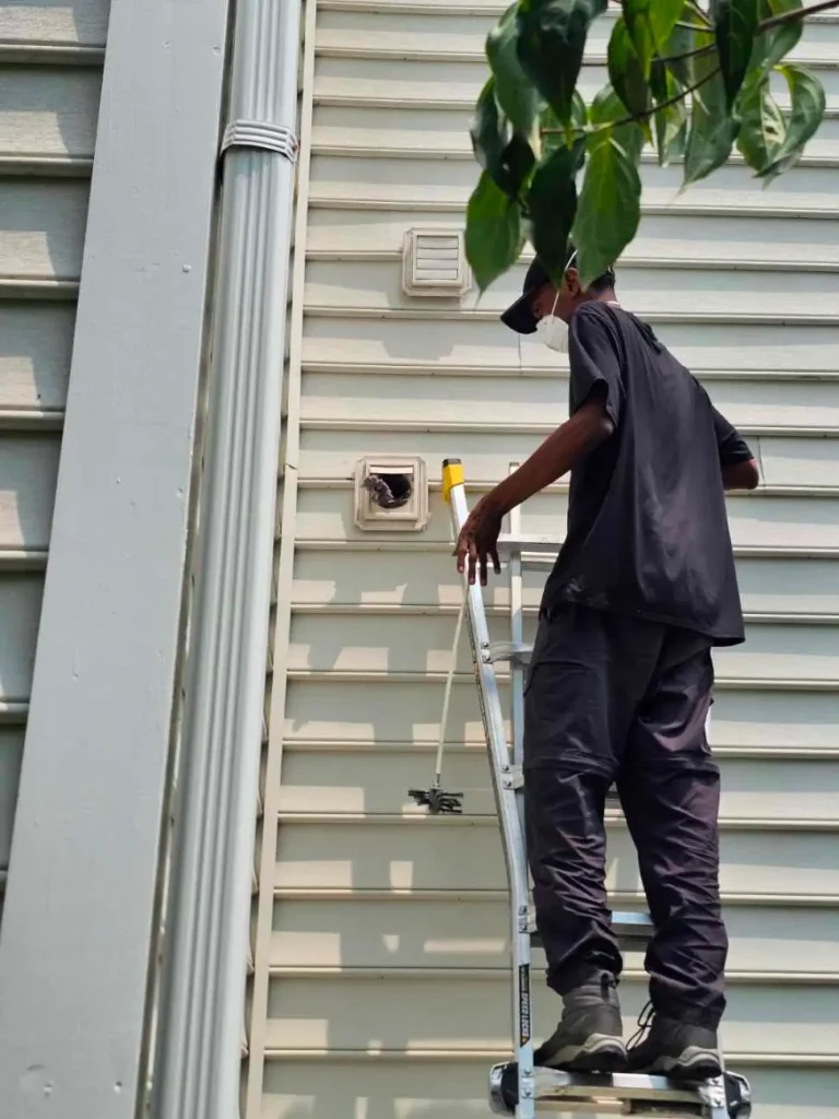 Exterior dryer vent cleaning